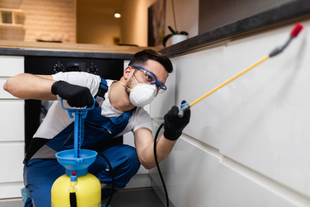 Best Best Pest Control Companies  in Holyoke, CO