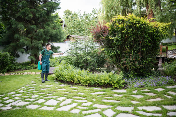 Wasp Removal Services in Holyoke, CO