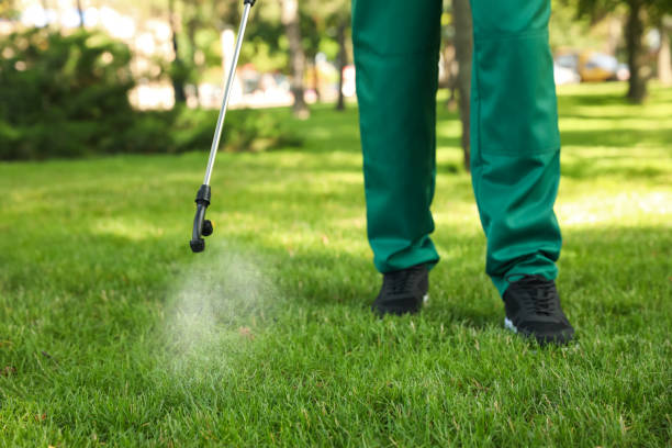Best Affordable Pest Control Services  in Holyoke, CO