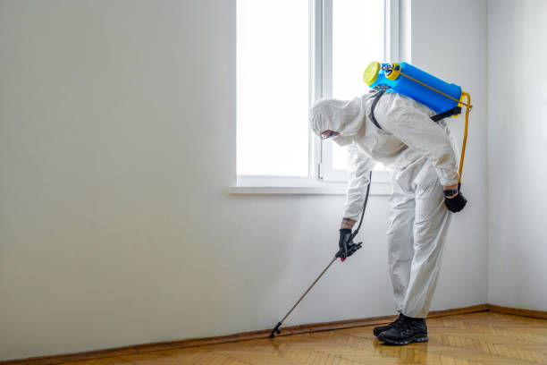 Best Pest Removal Services  in Holyoke, CO