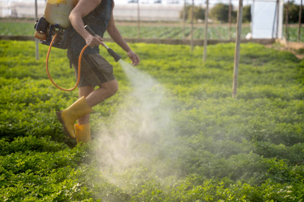 Best Best Pest Control Companies  in Holyoke, CO