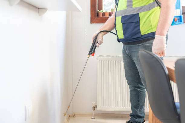 Best Ant Control Services  in Holyoke, CO