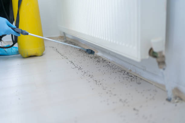 Best Pest Prevention Services  in Holyoke, CO