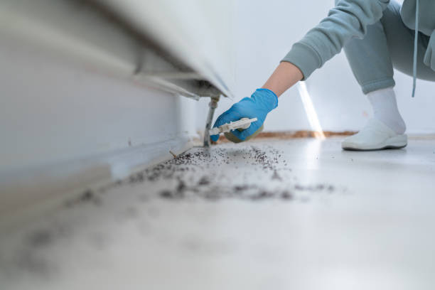 Best Rat Extermination Near Me  in Holyoke, CO