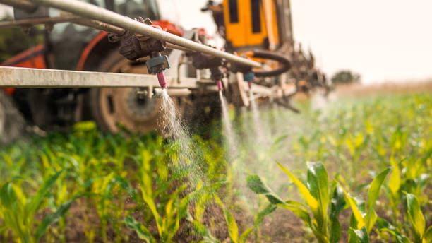 Reliable Holyoke, CO Pest Control Solutions